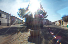 Visita Virtual Berengena