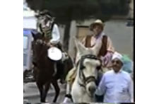 Don Quijote en Gran�tula