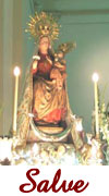 Salve